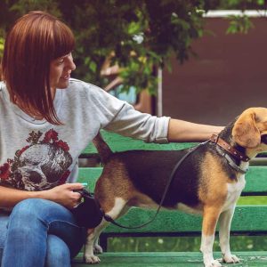 Pet CBD Packages 30 CT